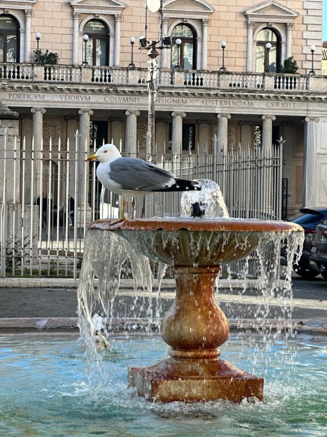 Pantheon Palazzo Nari Daire Roma Dış mekan fotoğraf